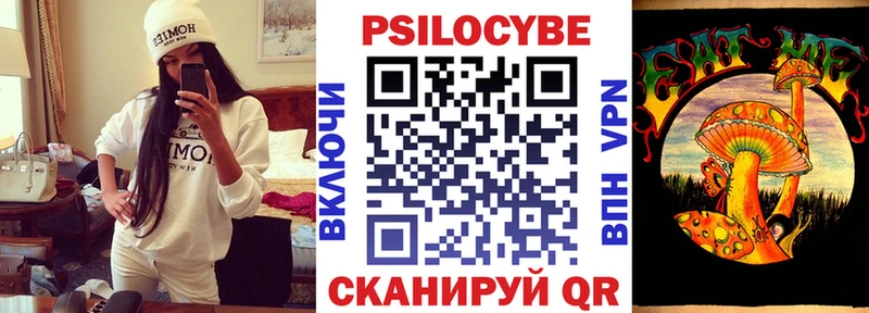 Псилоцибиновые грибы Cubensis Райчихинск