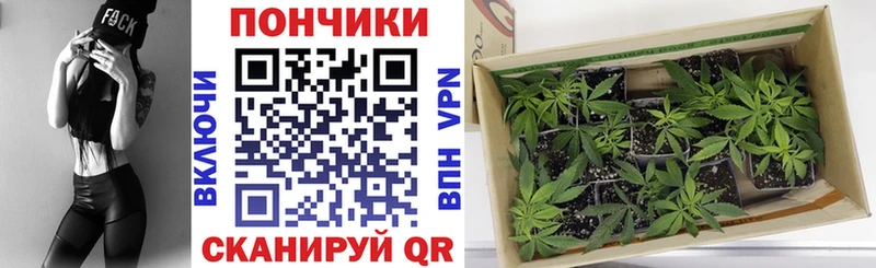 Бошки марихуана гибрид  Райчихинск 